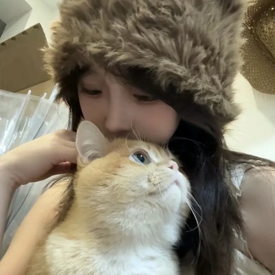 猫的报恩七次初吻